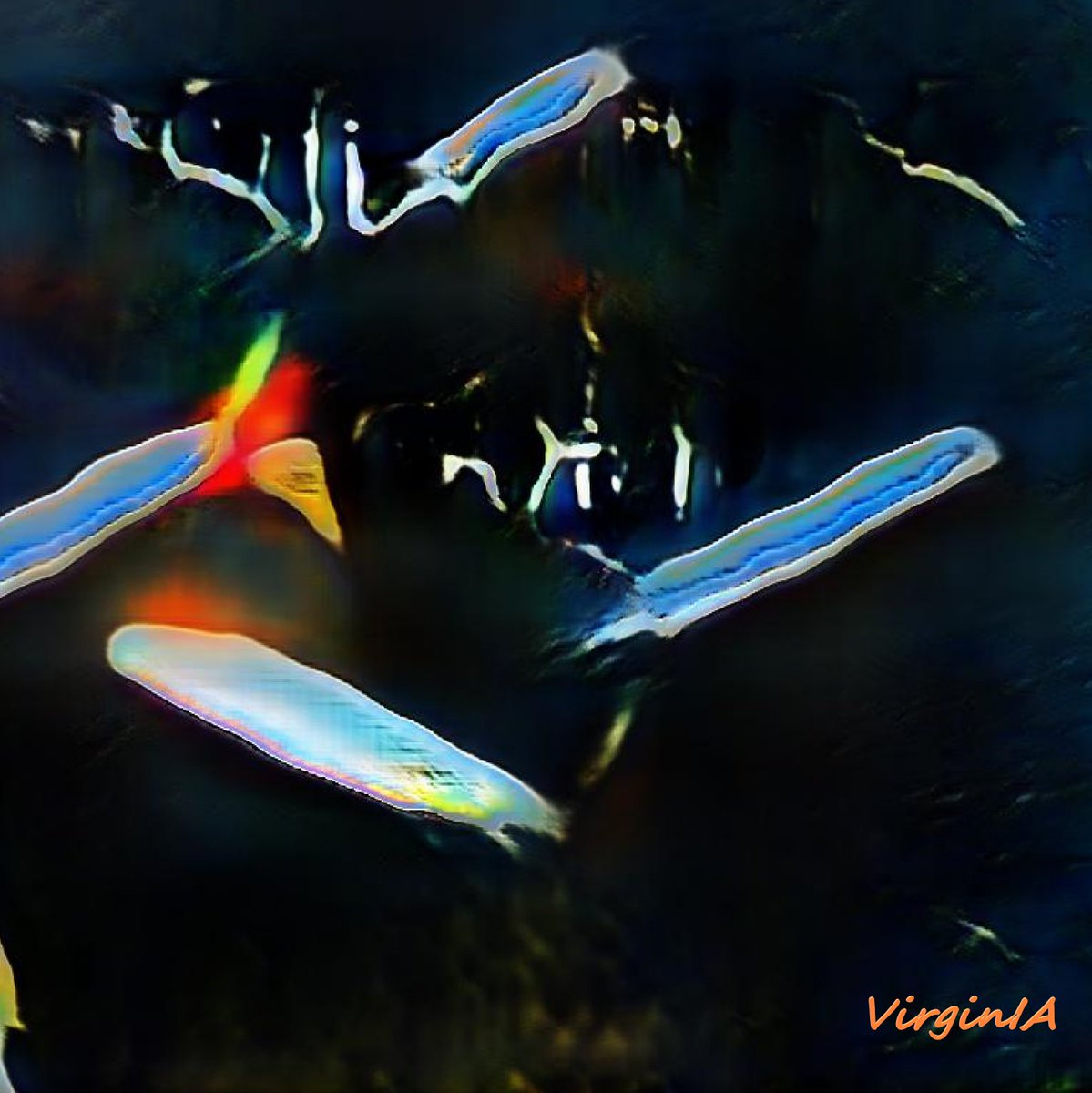 Birds2021's tweet photo. 📷Abstractive
#CreativeIA ©️VirginIA #nftart #IA #photographylovers #PhotographyIsArt https://t.co/x3mHDSQNAt