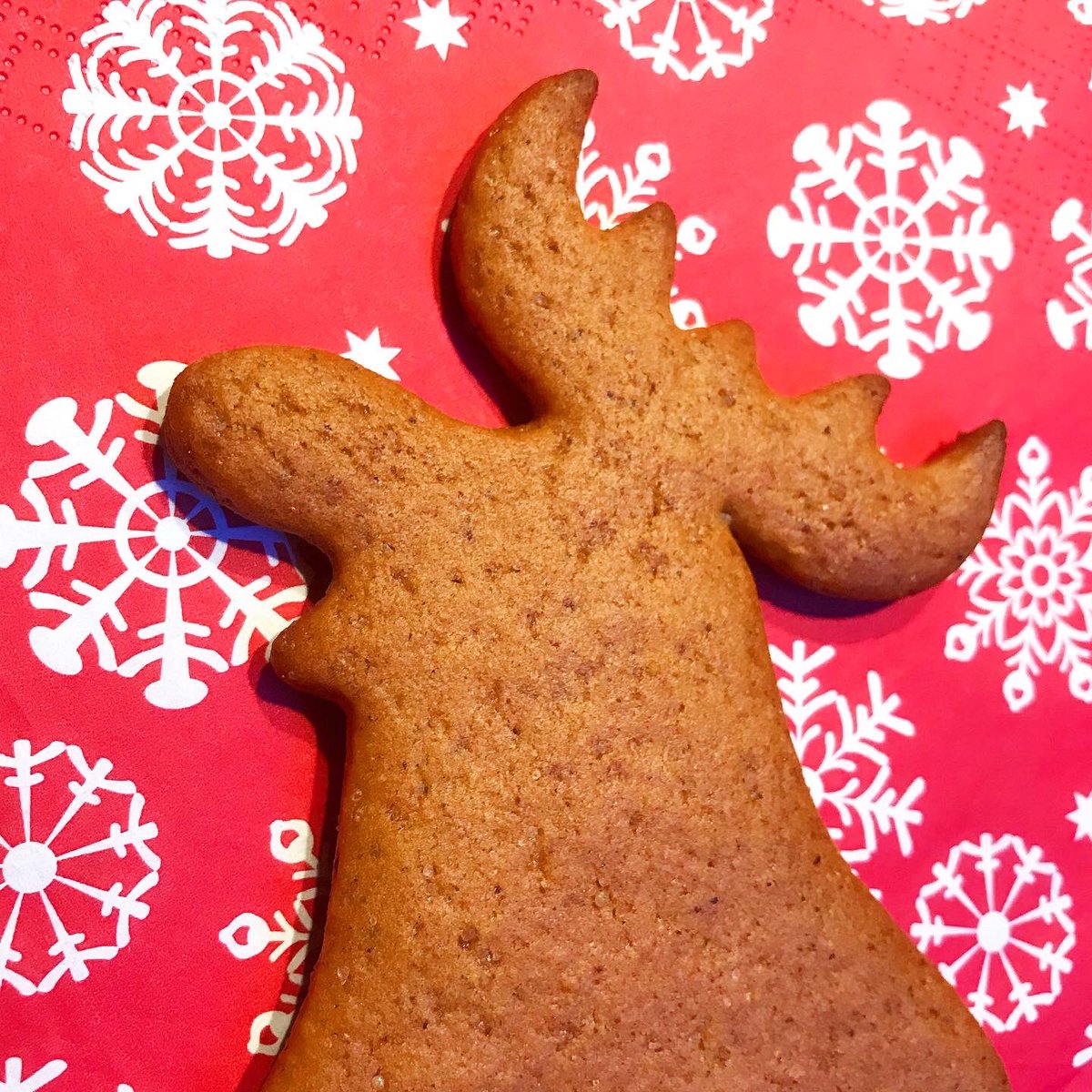 SweMetalChef's tweet photo. Tomorrow is the old midwinter solstice. Time to make sacrifice to the ancient spirit Lusse. This year Mr. Moose is on the Master of the Mountain’s menu. Bake! Howl! Give! :) #lucia #lusse #gingerbread #wintersolstice #theoldway #baking #blot #honour #ancestors https://t.co/XdalGavmhJ