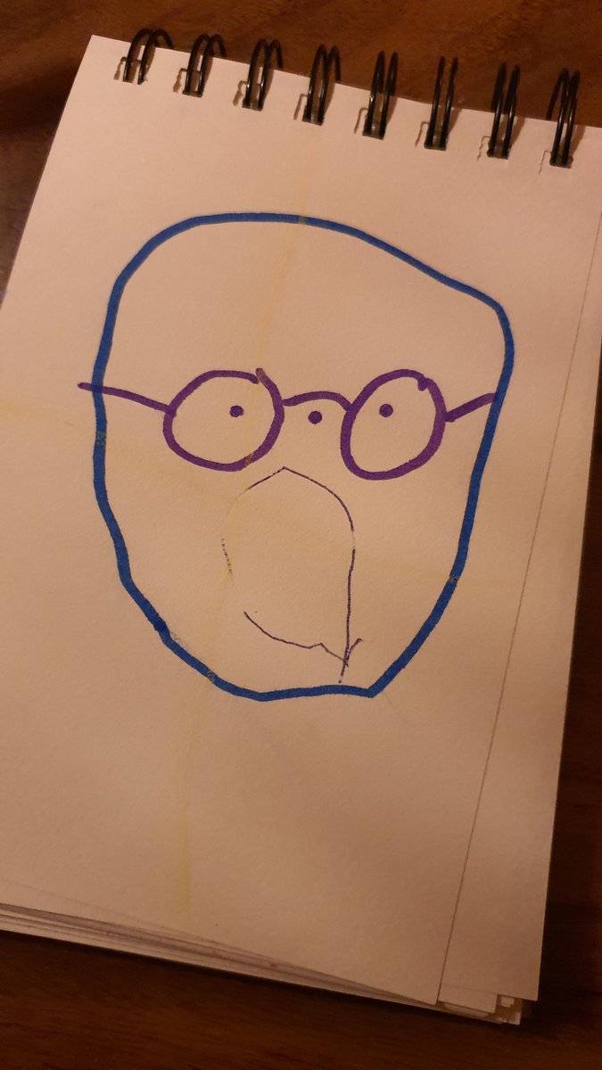 Hoe ik de laatste ronde keek, volgens mijn zoon.