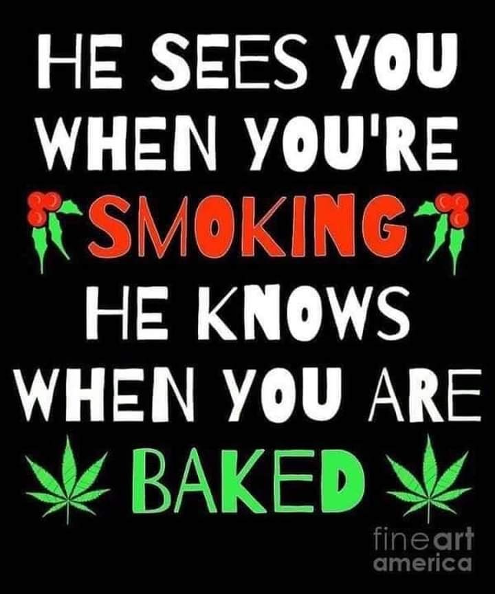 galacticst0nerr's tweet photo. Merry Christmas stoners 🍃😮‍💨 Merry Christmas #stoners #420life #420friendly #stonergirl #maryjane https://t.co/LBJx7AV2w3