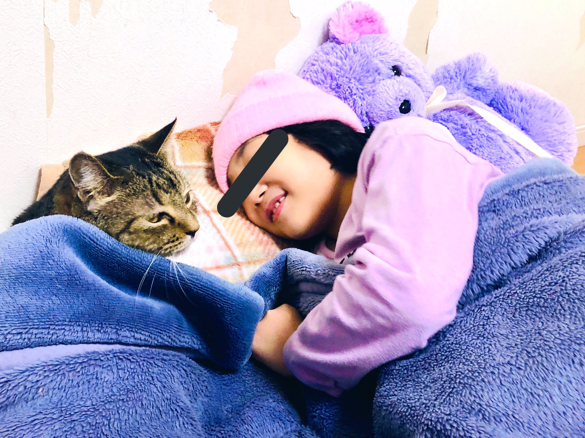 猫野四季 あんなに人を怖がっていたサバが 娘と一緒に寝るようになるなんて 思いもしませんでした 一緒にぬくぬくおやすみね ねこ ネコ 猫 みなさまもよき夢を おやすみなさい T Co Rcvfzpiqxw Twitter