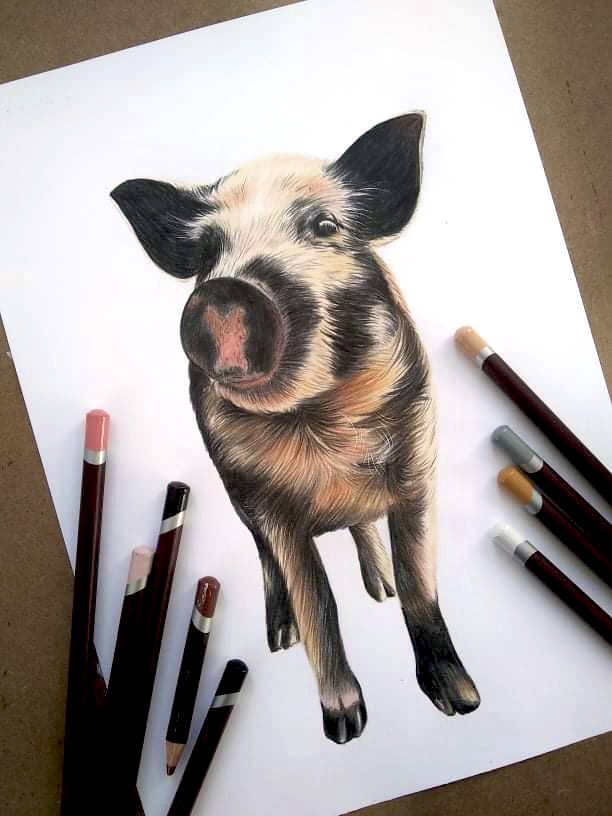 Pet portraits don’t always have to be cats and dogs, introducing Pebbles the micro pig!🐷

Pebbles lives at Pampered Pigs which is a UK pet boarding farm, where your pigs and other pets can go holiday when you do!

#micropig #minipigs #petboarding #pigboarding #pigs #petpigs #pet