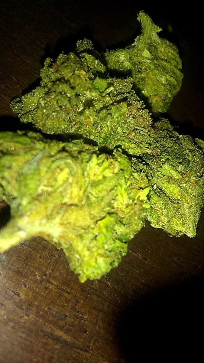 galacticst0nerr's tweet photo. Man my bud is pretty 😍😍 #stonergirl #weedporn #stoners #weed #potheads https://t.co/Dbe591GBPP