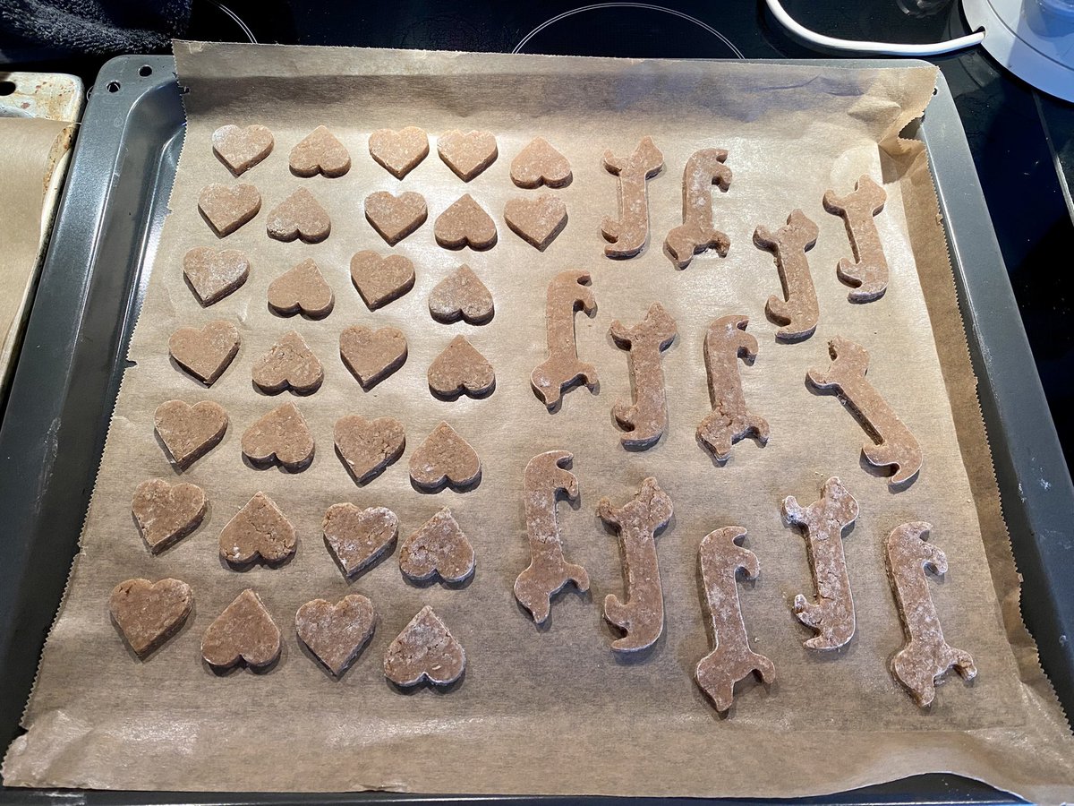 DackelOle's tweet photo. How everything started and how it ended 🙈😂 Happy Sunday, pals… #sundaycookies #xmascookies #dogs #DogsofTwittter #dackel #dachshundcookies https://t.co/uKdv4odgIK