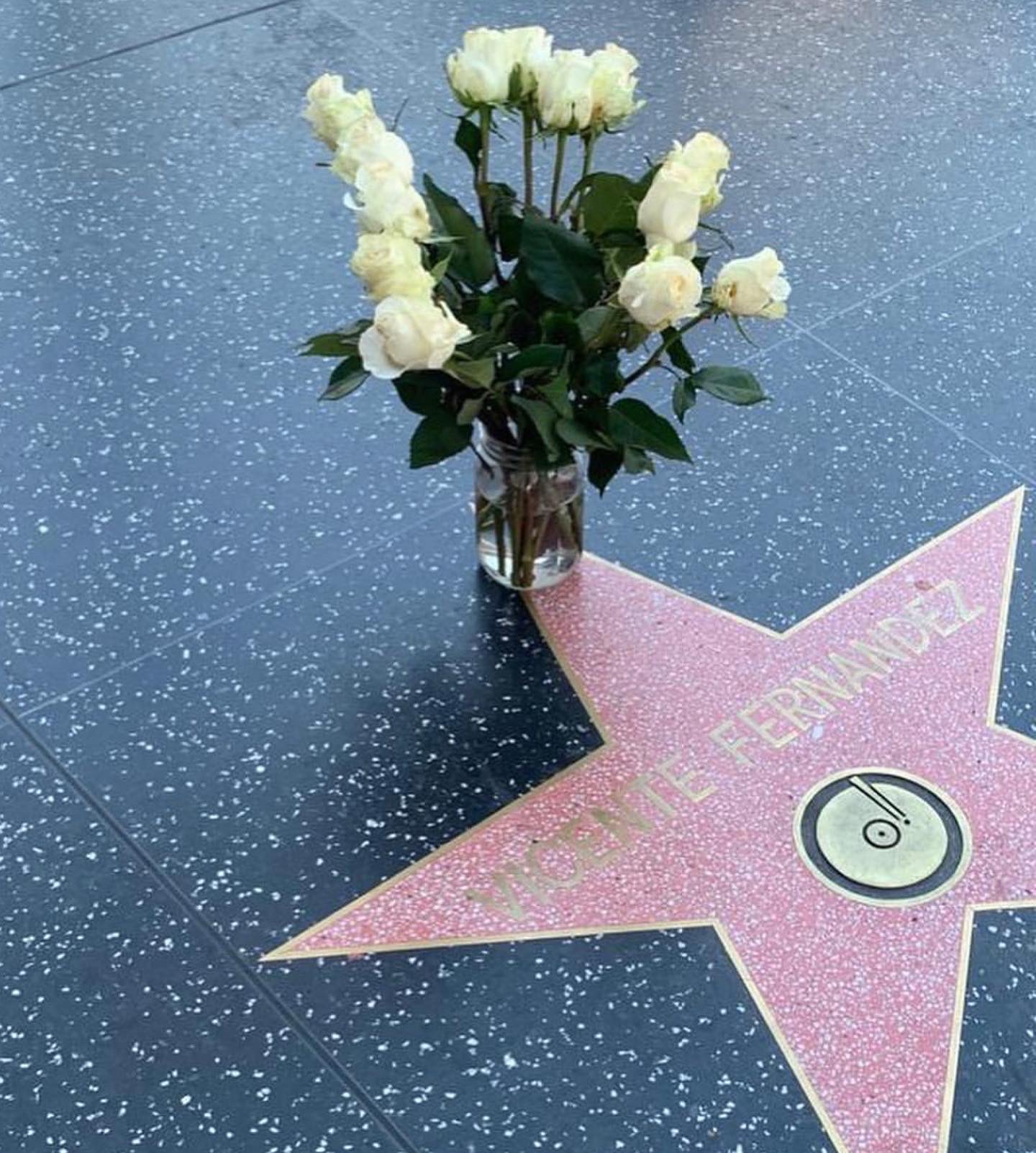 VICENTE FERNÁNDEZ, ÚLTIMO ADIÓS EN HOLLYWOOD. | ESPECIAL