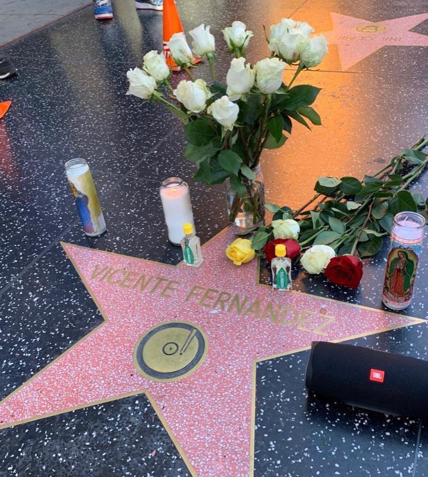 VICENTE FERNÁNDEZ, ÚLTIMO ADIÓS EN HOLLYWOOD. | ESPECIAL