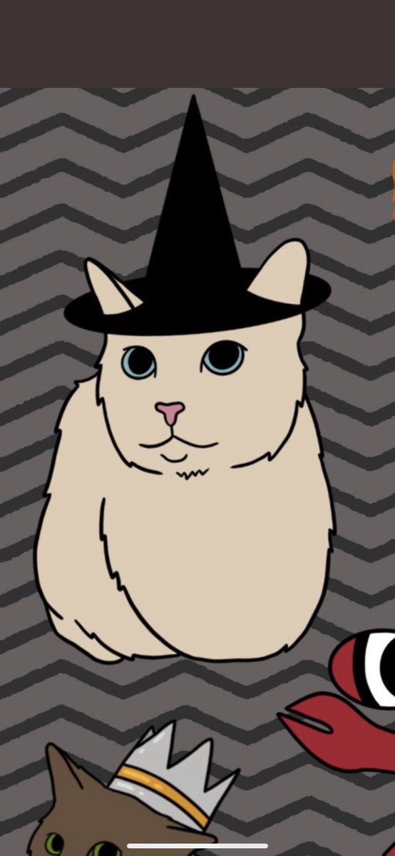 finnythekitty's tweet photo. @swagmastarpaul ? https://t.co/ztg5ZHZi8j