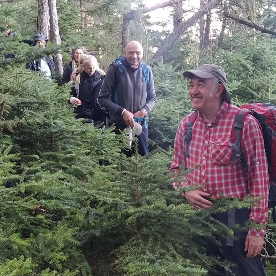 ansararagon's tweet photo. Volviendo de la excursión de Ansar al Pinsapar de Orcajo. Sistema Ibérico en estado puro #Pinsapo #Orcajo #Naturaleza #Aeagón https://t.co/EycMsL7UBg