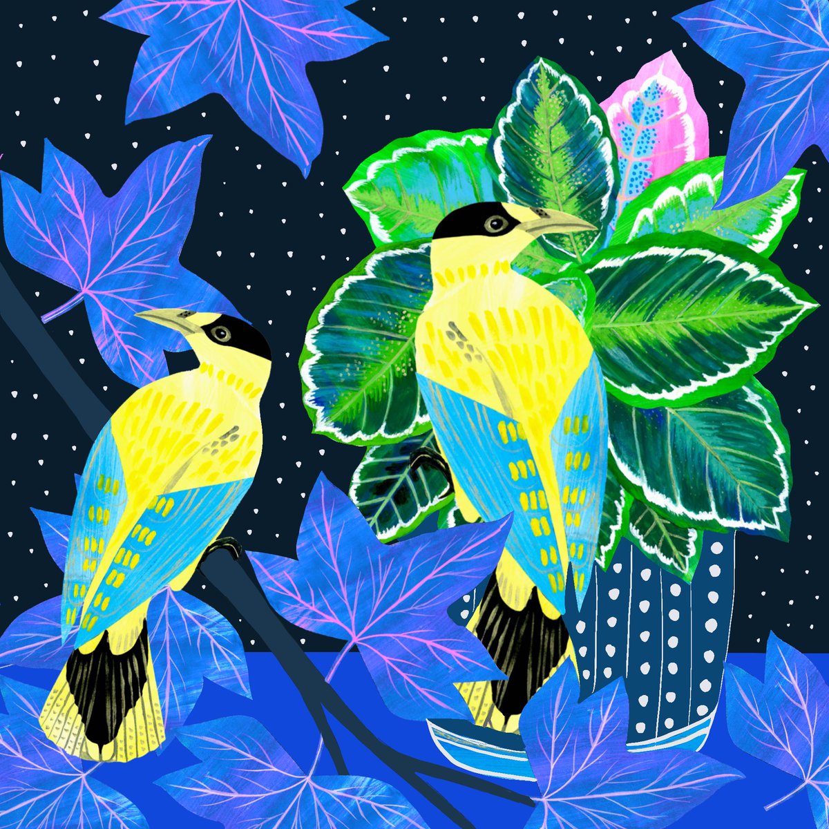 birdagram's tweet image. #procreate #illustration #digitalart #illustrationartist #makeartthatsells