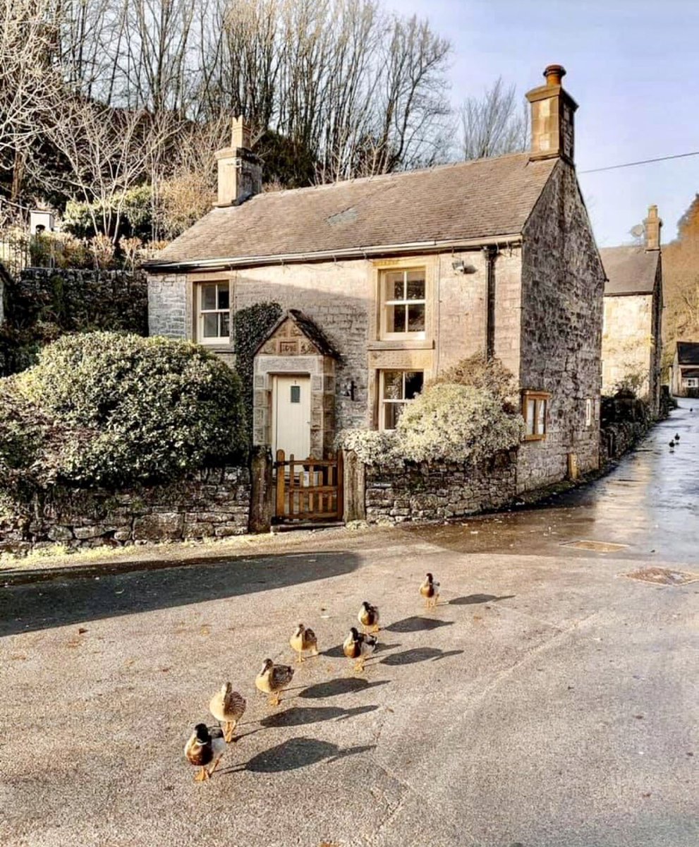 Start where you are. Use what you have. Do what you can &amp; get the little ducks lined up… 🦆 🦆 🦆