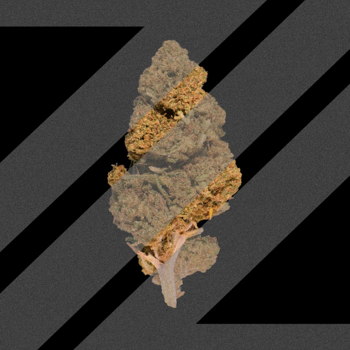 CannaCrypts tweet media