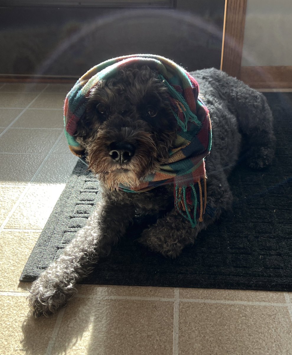 babushka