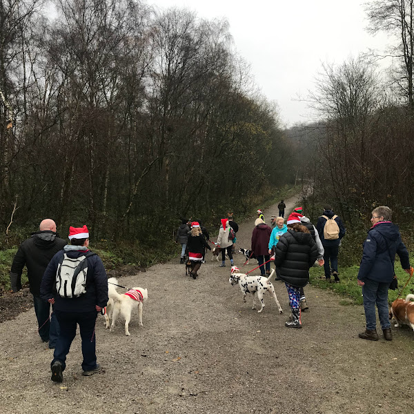 RSPCALeedsWakey's tweet photo. 🐶 We wanted to say a massive thank you to everyone who came along to our 'Paws '4' a Christmas Walk' this morning!

🎅 We had a lovely time and it was so great to see you all again and to see all of your pups in their brilliant festive gear

#Paws4AWalk #SantaPaws #RSPCA https://t.co/iZtFEpDfZA