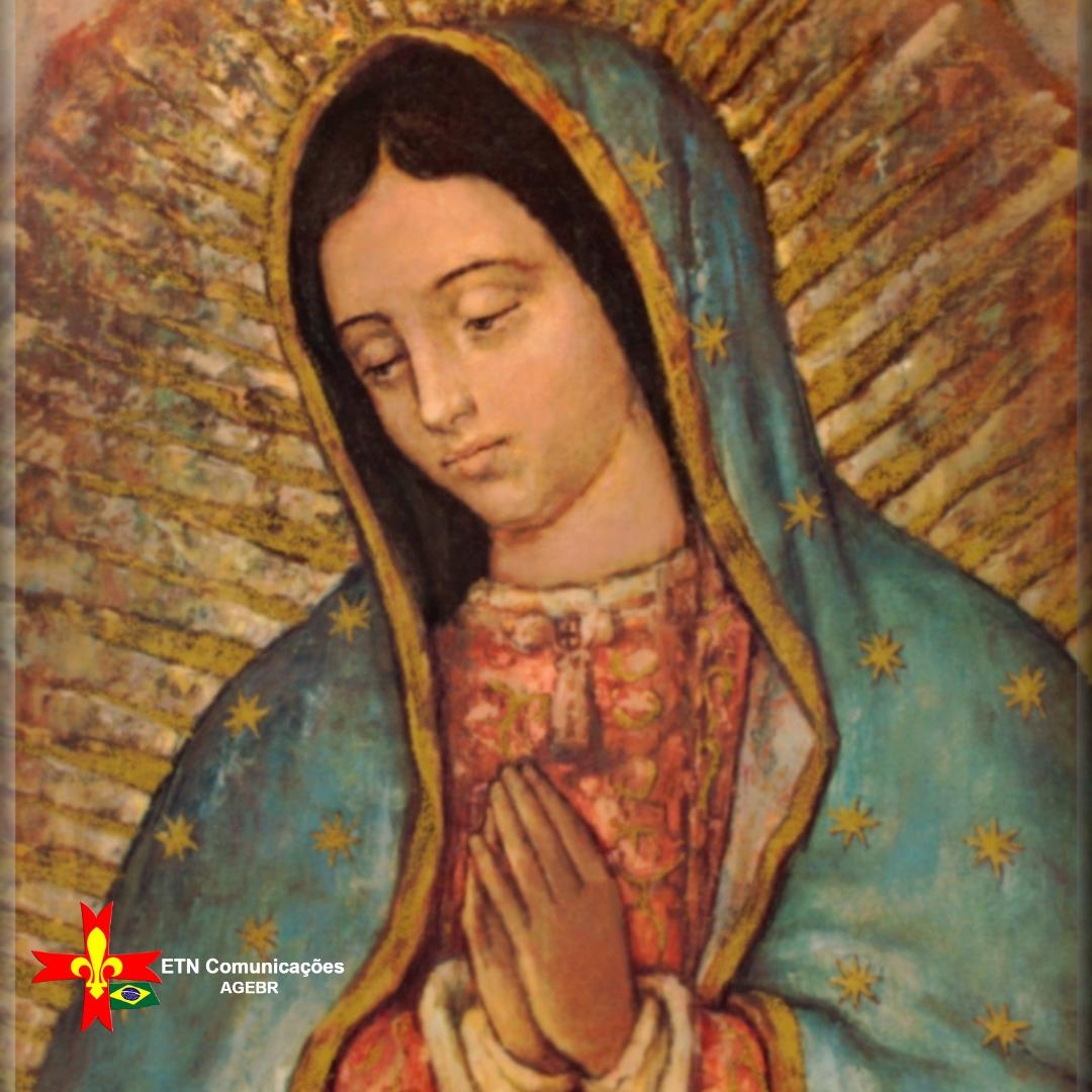 etncomunicacoes's tweet photo. Hoje, dia 12 de dezembro, a Igreja Católica celebra a Festa de Nossa Senhora de Guadalupe. Nesse mesmo dia em 1531, a Virgem Maria apareceu a um indígena de 57 anos chamado Juan Diego.

#agebr #Uigse https://t.co/Cdo0xbvYt5
