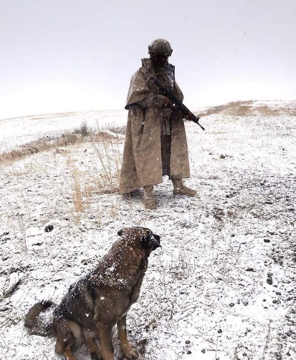 alitilkici38's tweet image. Vatan Savunmasının Sözleşmesi Olmaz 
Bu kahramanlara Mesleki güvence şart
Yıllarca girmediğin çatışma operasyon görev kalmıyor 1Amir gelip bu Uzman Çavuştan istifade edemiyorum deyip sözleşme fesihi yapıyor HAKMI,REVAMI,
#56KahramanUzmÇvş