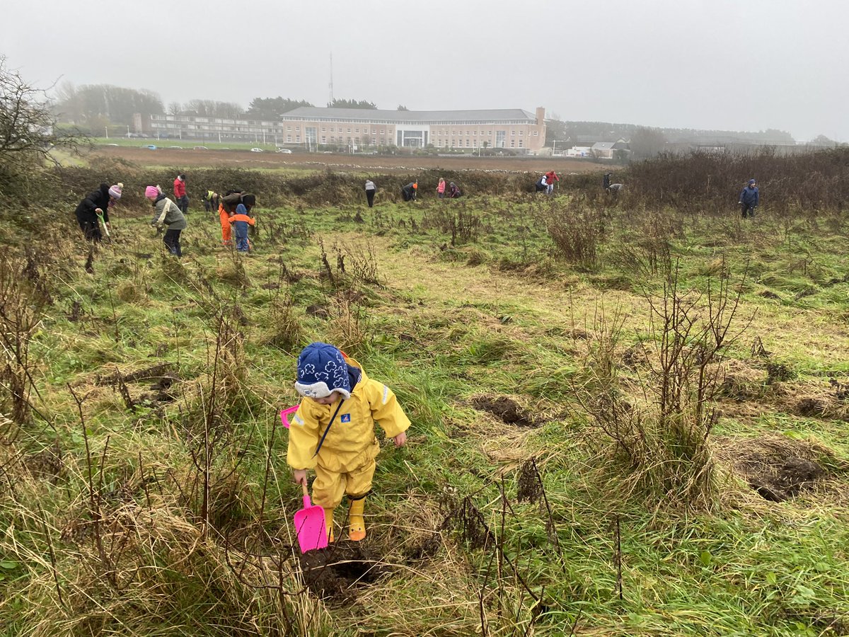 fergodowd's tweet photo. He wasn’t that happy with his tools but the wee man got a few trees planted for @GalwayNPC at Loch an tSáile on Saturday 😅 https://t.co/hdMvYyDGn4