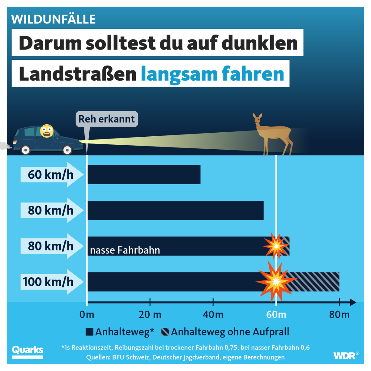 quarkswdr's tweet photo. Etwa alle 2,5 Minuten crashed in Deutschland ein Auto in ein Wildtier – unter anderem gerade jetzt, wenn es morgens und abends dämmert. https://t.co/WCjejp6A3D