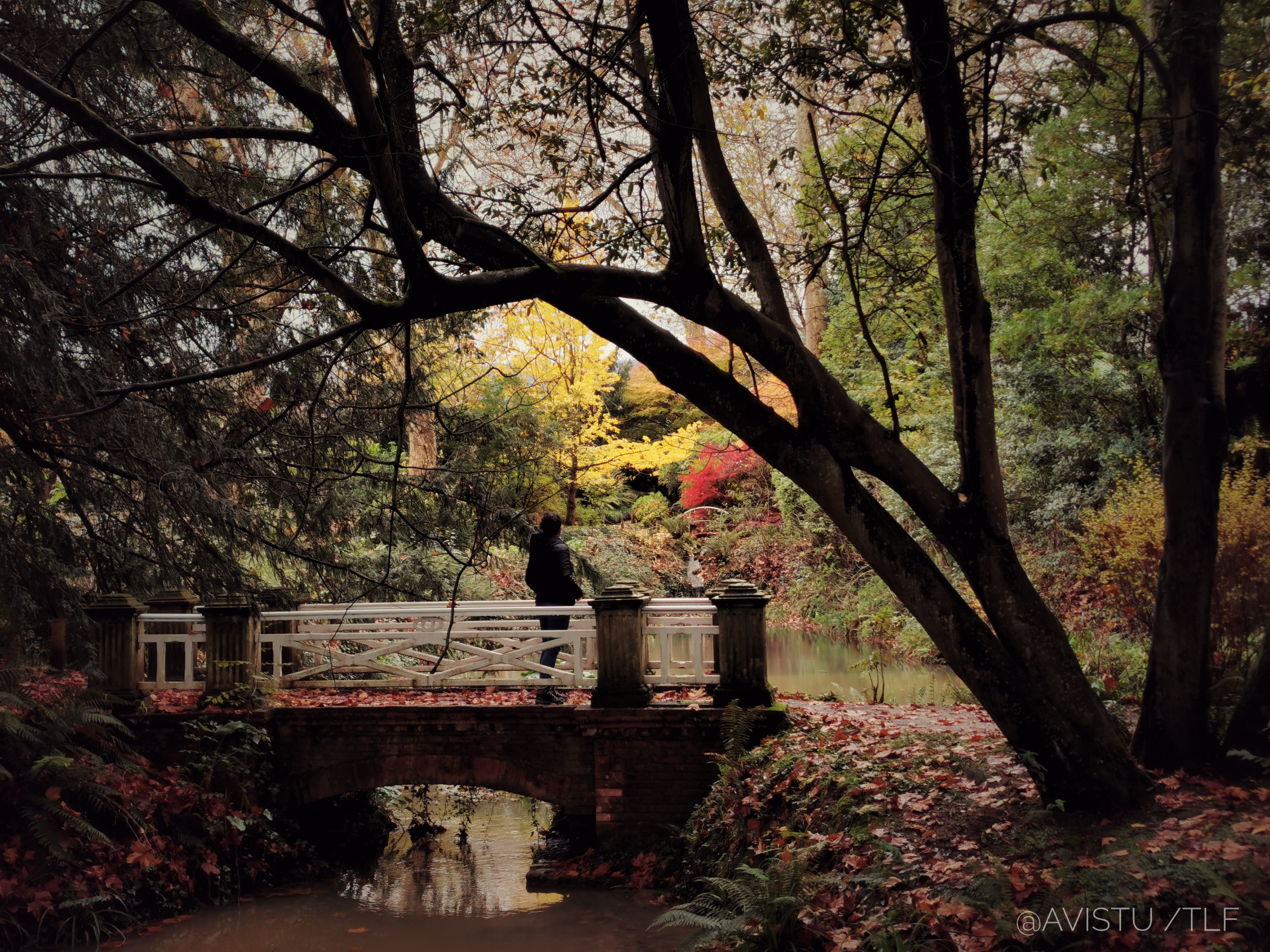 Uno de los rincones del Jardín Botánico Atlántico en Gijón, Asturias [(c)Foto: @avistu]
