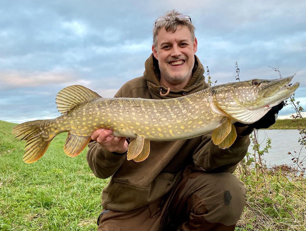 MackerelOil's tweet photo. A Big Shout Out to Dave Barham @dave_barham_fishing. Dave caught this Pike recently while using Holy Mackerel Fish oil. Well done Dave ๐๐๐๐ #pike #pikefishing #pikefishinguk #predatorfishing #deadbaits #fishoil visit https://t.co/6657qiJNCq to find your nearest stockist. https://t.co/qMhykPFYKF