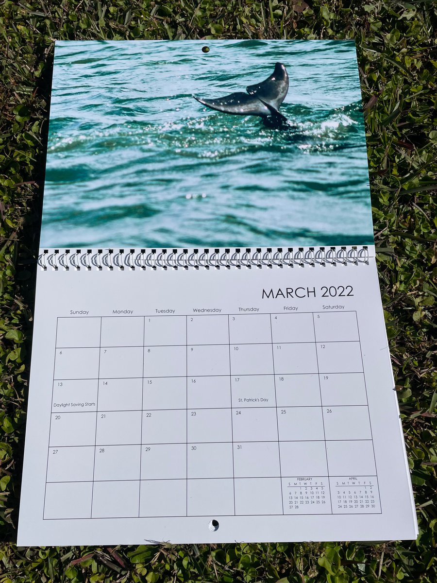 artdeRose's tweet photo. 2022 Calendars back in stock!! Get them while you can 

https://t.co/pGzNkexoCM https://t.co/xjLnPiwEu1