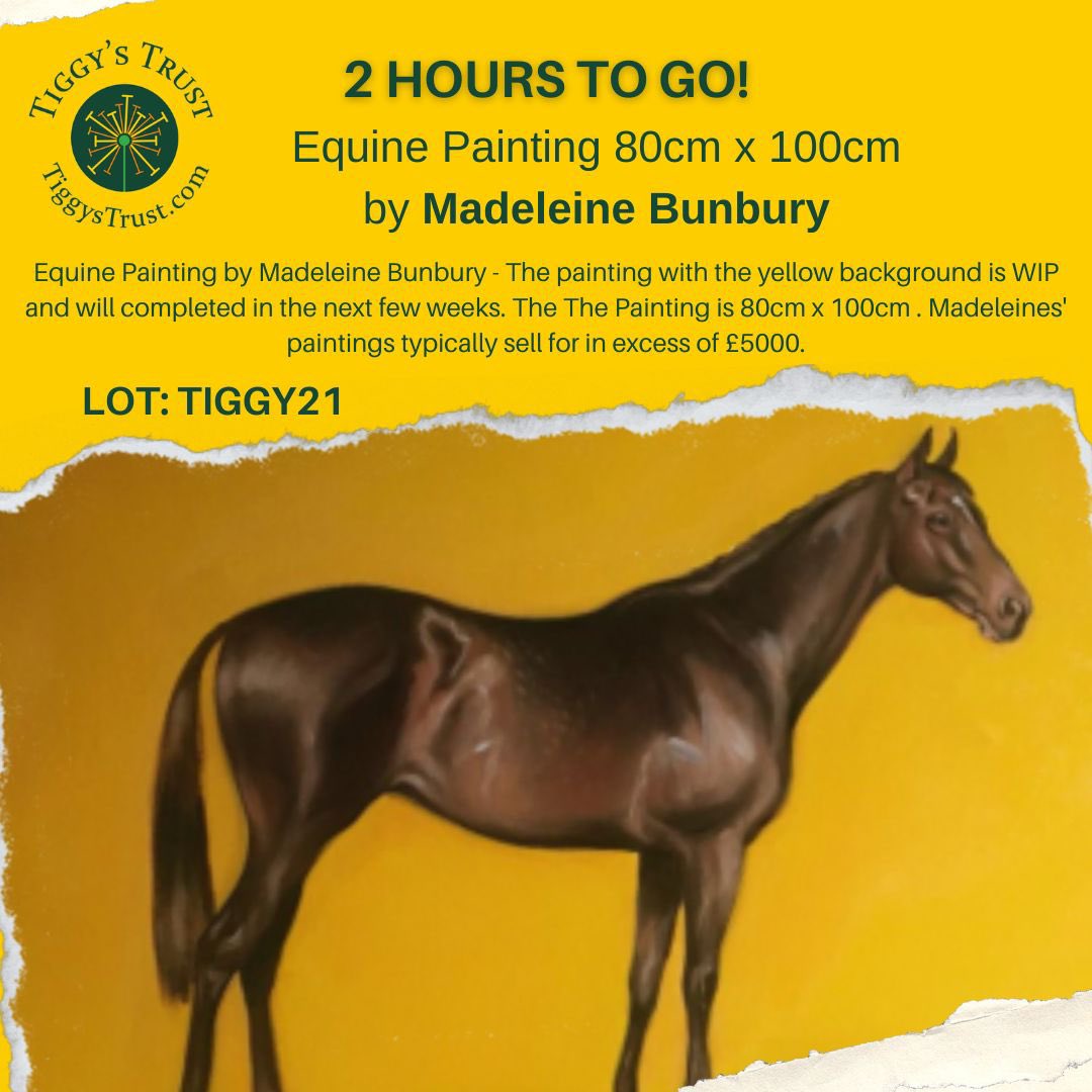Tick tock tick tock….
Times 🏃‍♀️ running out… #turncheltenhamyellow  surge for the finishing post… tiggystrust.com/auction <a href="/IJF_official/">Injured Jockeys Fund</a> <a href="/CheltenhamRaces/">CheltenhamRacecourse</a> 8pm and you win or maybe not!! 💛💛