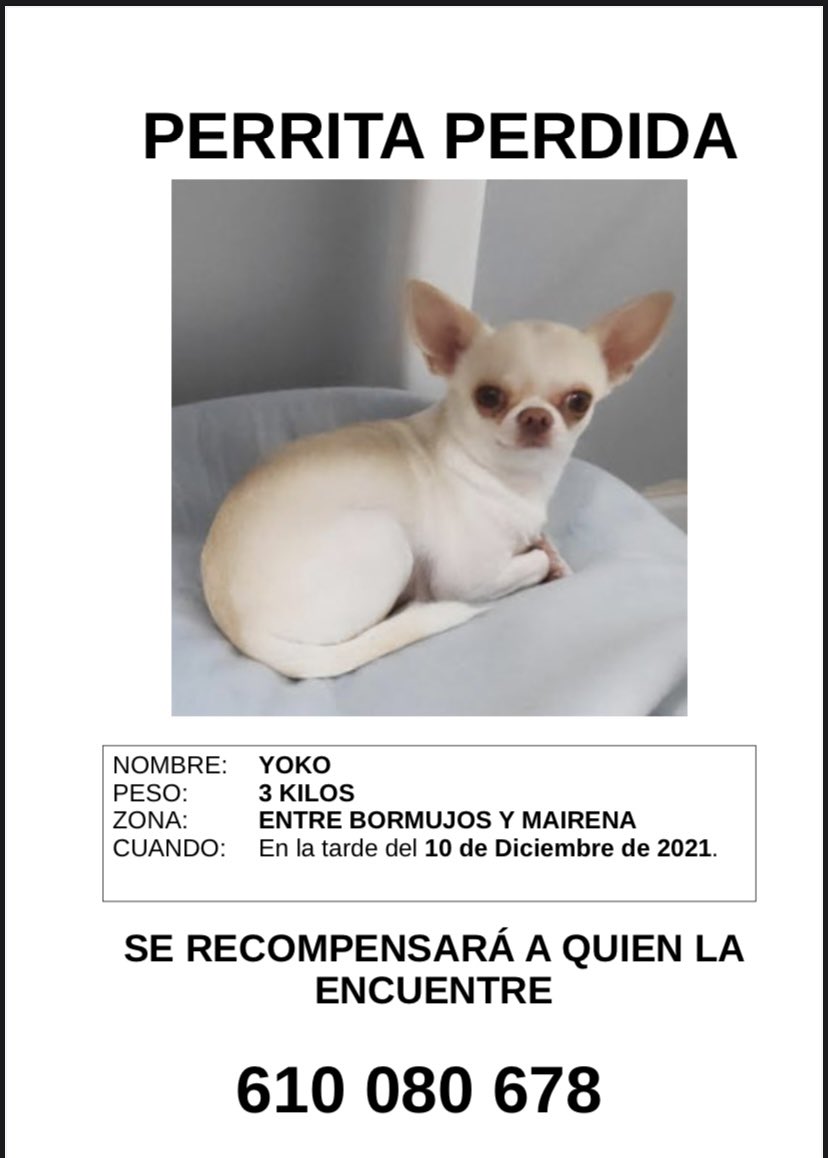 Zapatillas Viajeras tweet media