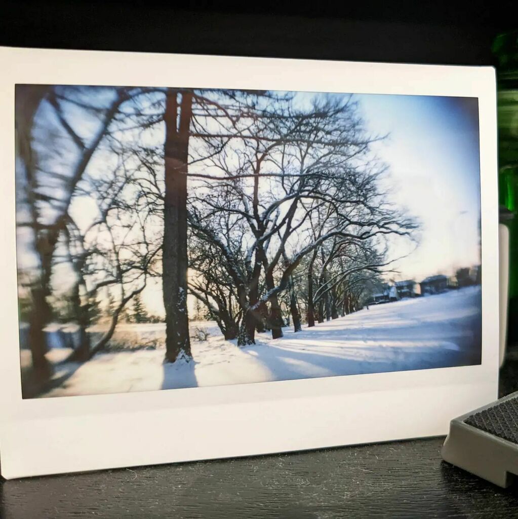 artsproul's tweet photo. I love the crispness of the tree branches against the hazy morning sky. The additional #vignetting and #lenseblur is cool too. Just wish I'd have layed down in the fresh snow to get a better vantage point for the shadows. #instantphotography #instaxwide210 https://t.co/pgwUka4AT7