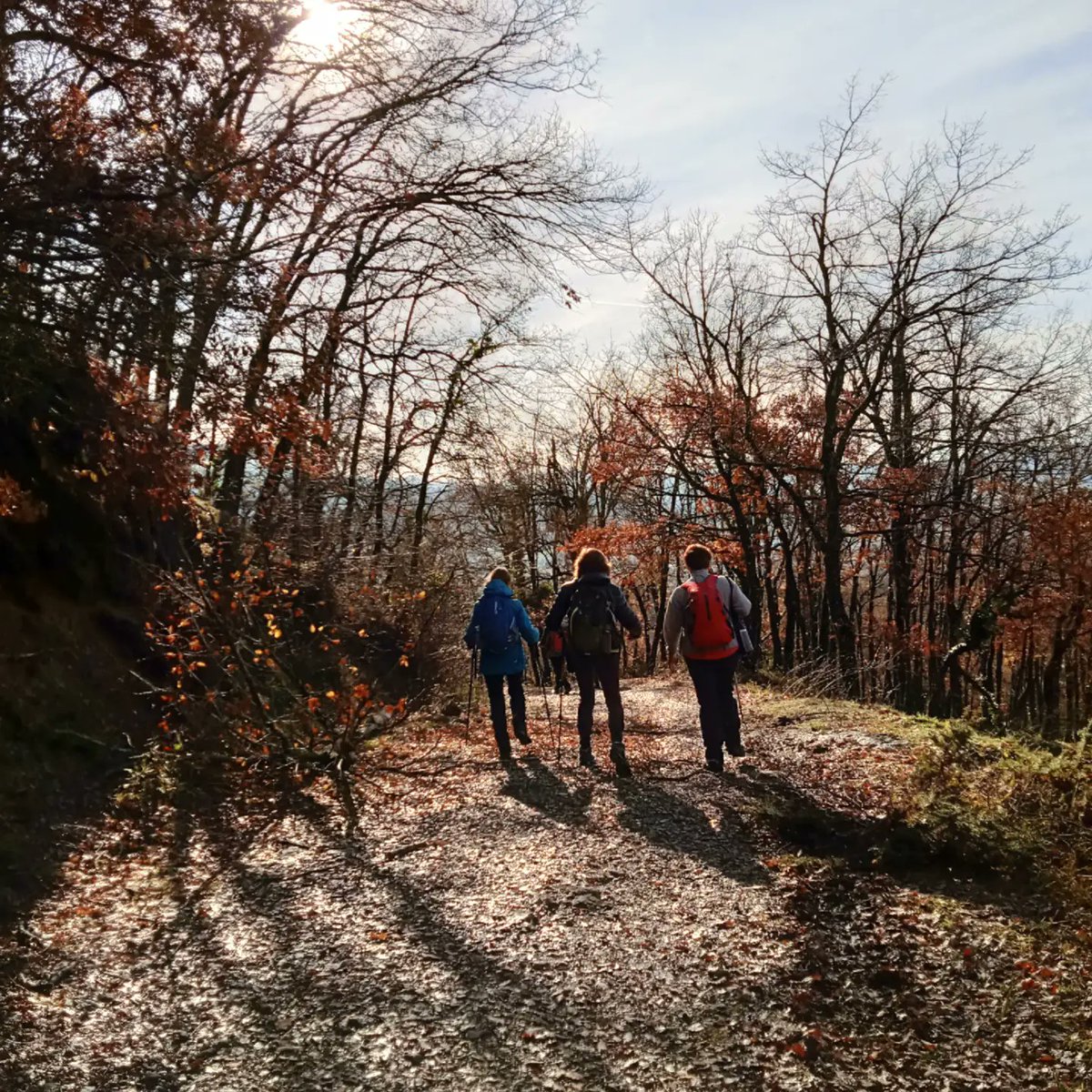 euskaditrek's tweet photo. Una estupenda ruta de montaña para ascender al Artzanegi desde la Lece. Un estupendo día para conocer rincones de nuestra tierra. Gracias a los participantes!! Con @euskaditrek mucho más que caminar!!! 👣
@TurismoAlava @TurismoVitoria @Basquetour_eus https://t.co/crSNxvS24Q
