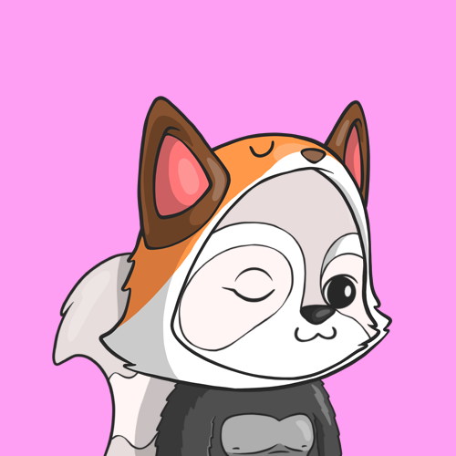 Look At My Raccoon tweet media