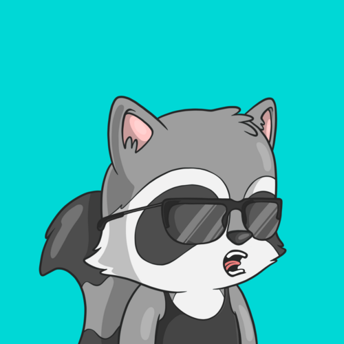Look At My Raccoon tweet media
