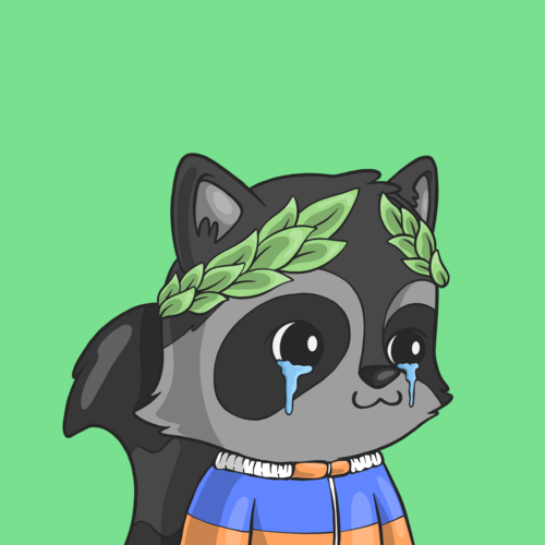 Look At My Raccoon tweet media