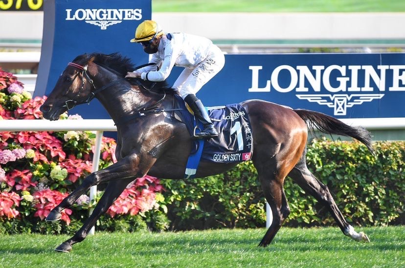 mmsnippets's tweet photo. The top three Australasian bred stakes earning racehorses in history were all sold at the Gold Coast Yearling Sale. 

🥇 - Winx - cost $230,000 - earned $26.4M+
🥈 - Golden Sixty - cost $120,000 - earned $17M+
🥉 - Redzel - cost $120,000 - earned $16.4M+

#SeeYouInJanuary https://t.co/YRROrvPUwC