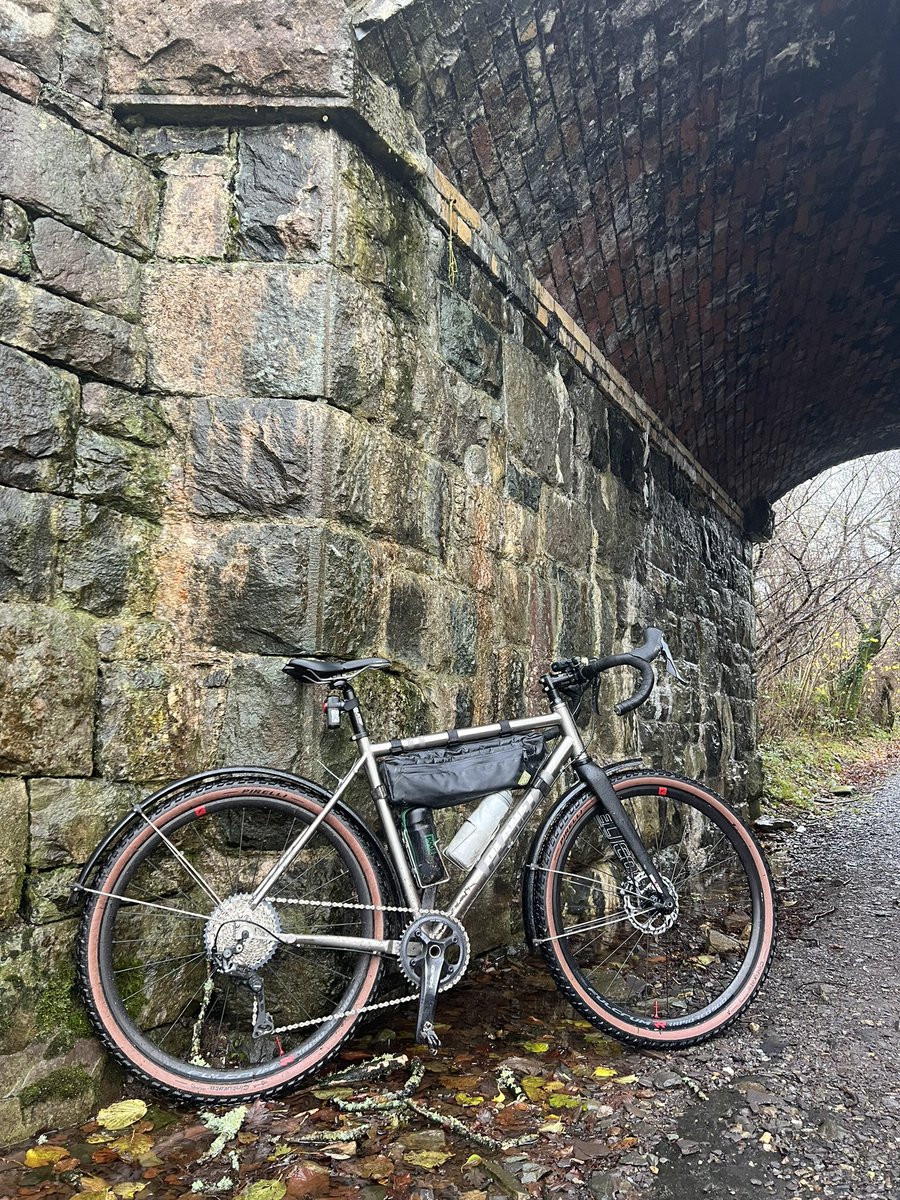 Adrian Williamson tweet media