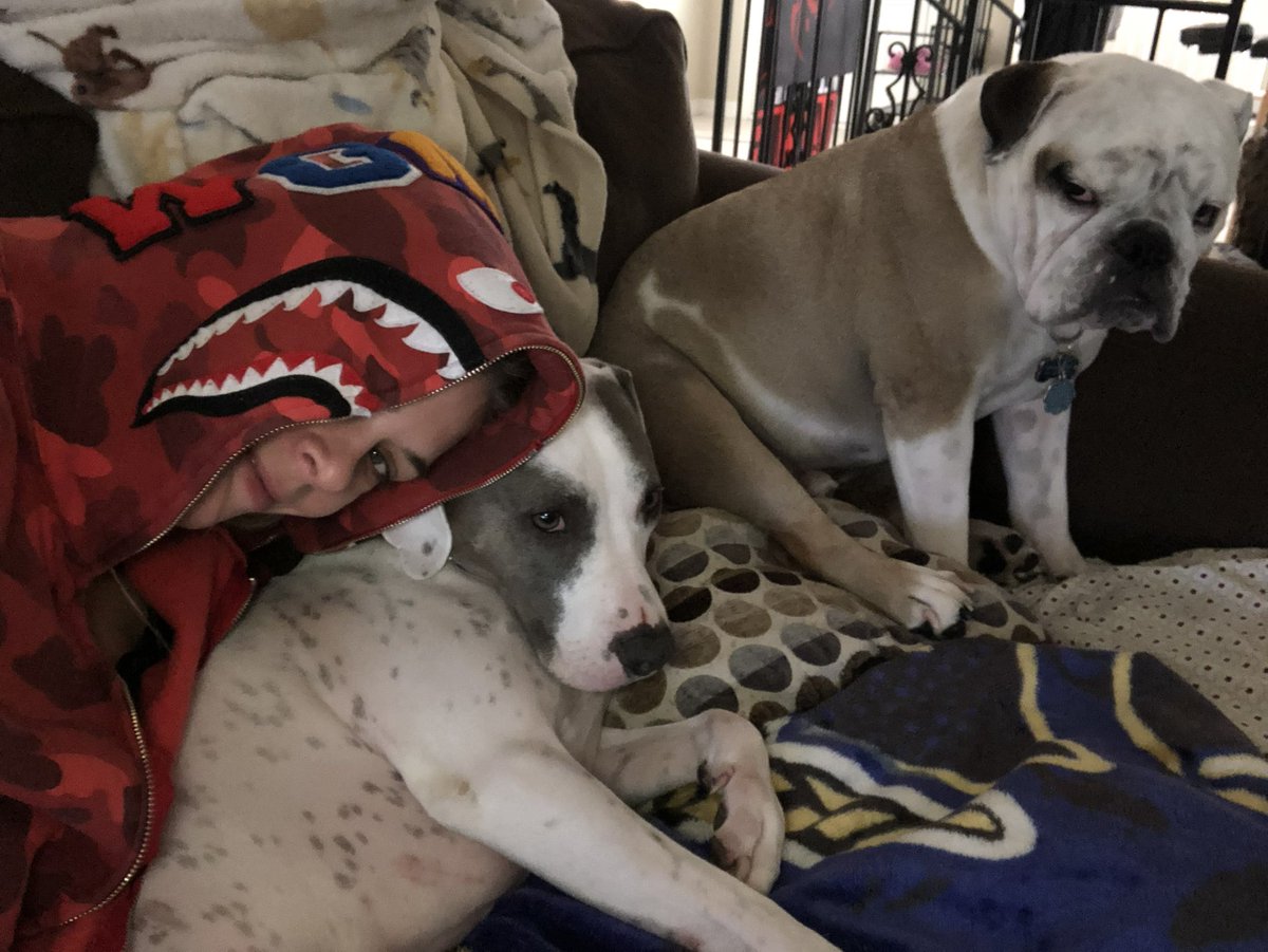 MiaYim's tweet photo. Missing Meemaw Day @jessamynduke #IsysPuppy #PrinceStannis https://t.co/nQSxAsNI3z