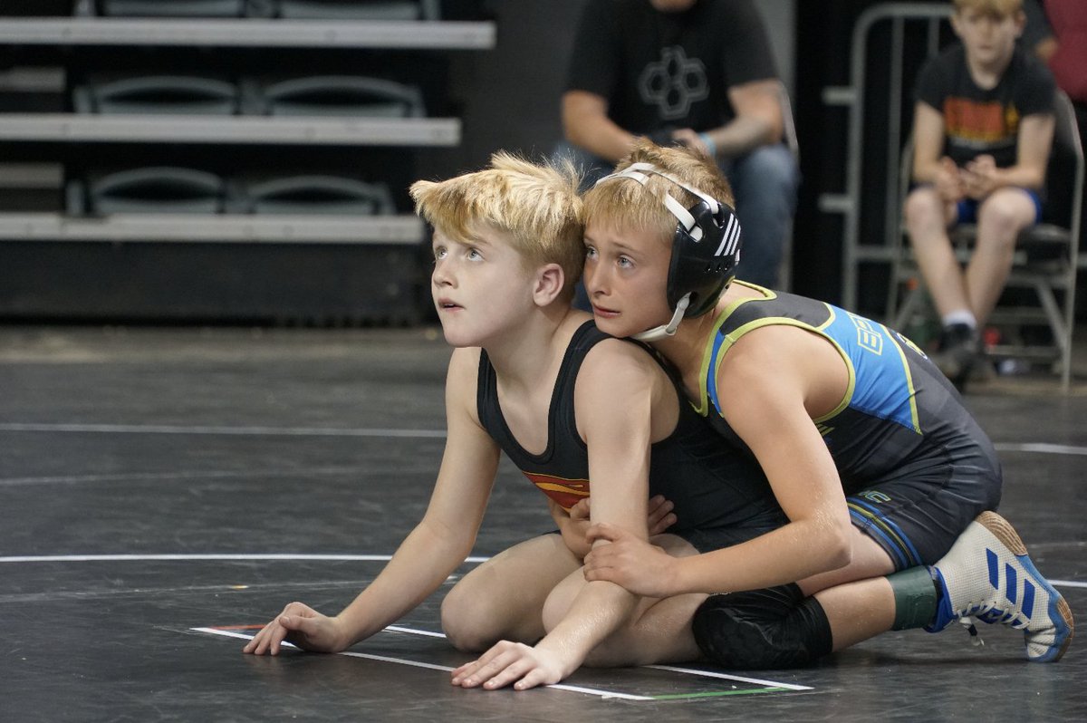 IAwrestle tweet media