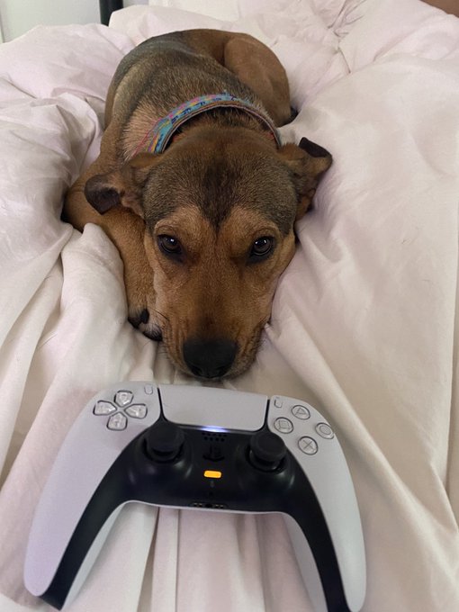 vibes 💤🎮 https://t.co/aHoyvBiVIf