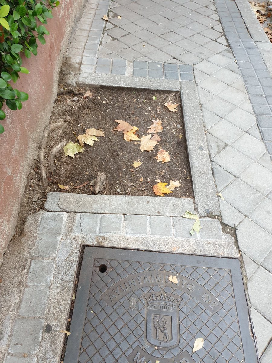 Anuskabelin's tweet photo. Después de muuuchos años y varios intentos de que el @MADRID haga algo, seguimos igual, con los agujeros de árboles en aceras donde sólo cabe una persona. C/Bergantin 1. NO LES DA VERGÜENZA #ayuntamientodemadrid #barrios #aceras #desperfectos #impuestos https://t.co/vEB68T9mQl