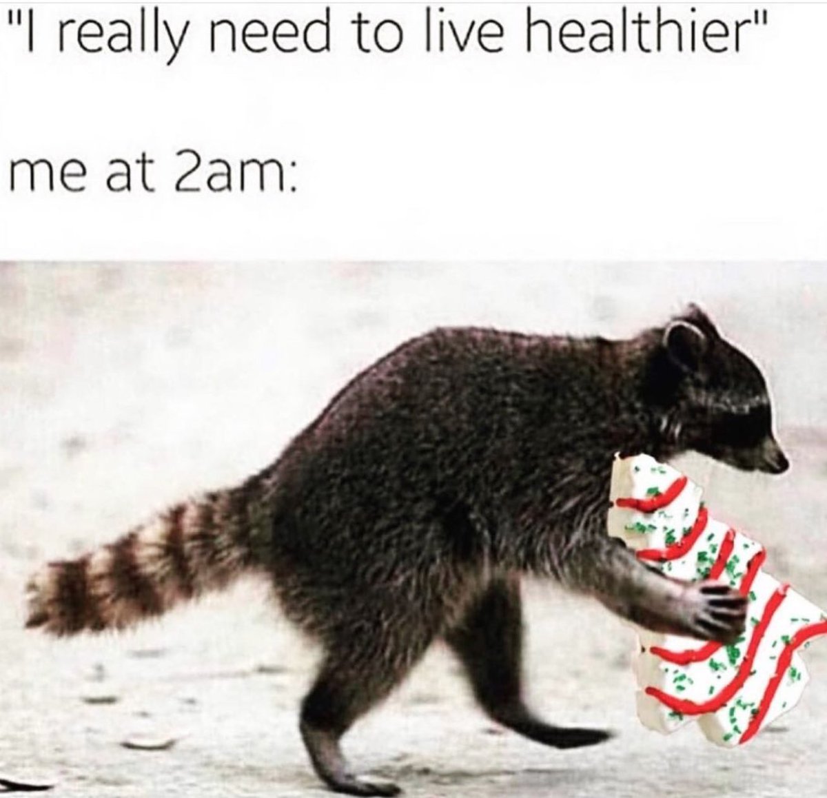 womenshumor's tweet photo. TIS THE SEASON https://t.co/BI6sLsmz0S