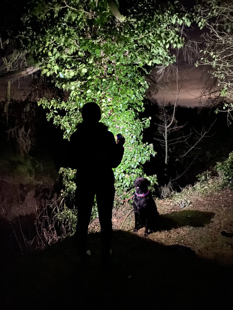 FF_GleavePW's tweet photo. Night caching #Geocaching #Nightcache https://t.co/VMNvWpVZ7B