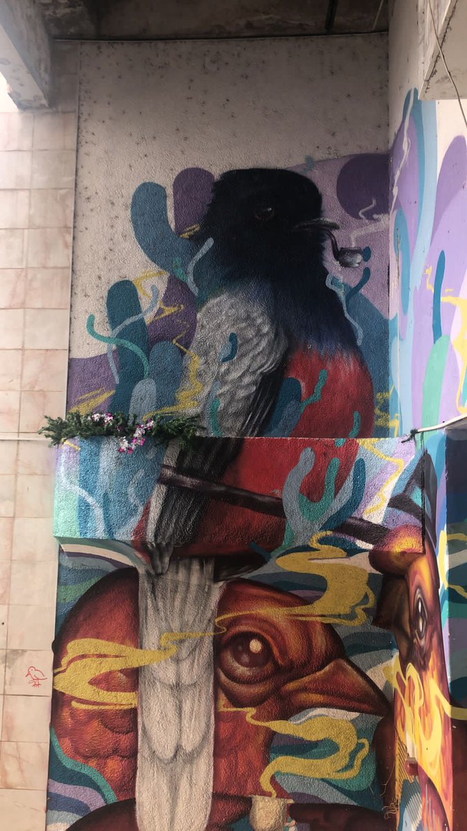 juancricco's tweet photo. Robaron el arbolito de la galería. #sentielcentro https://t.co/wJzRRpiws5
