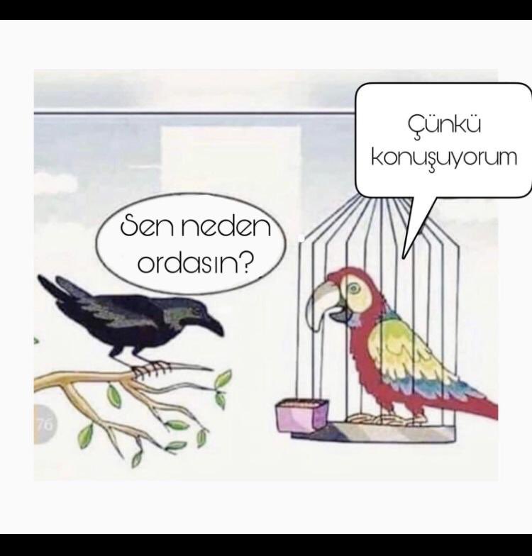 AhmetMKilicoglu's tweet photo. https://t.co/6BbL6hu9Pn