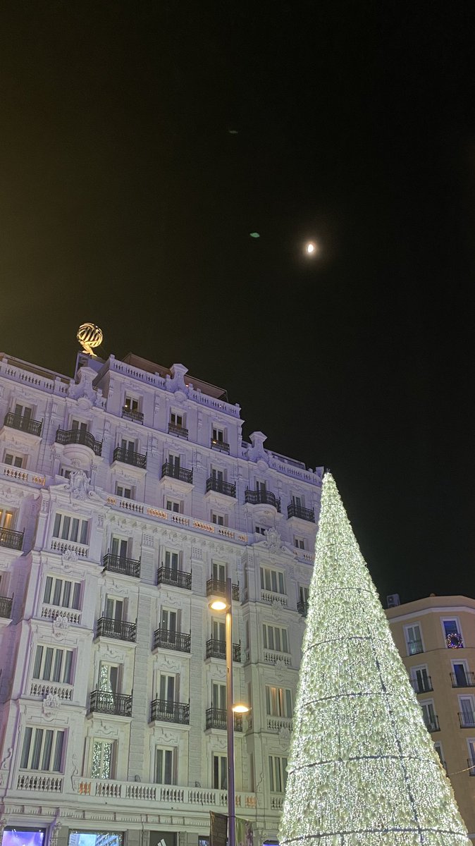 angelescats's tweet photo. Blanca navidad https://t.co/EZclJJGtwq