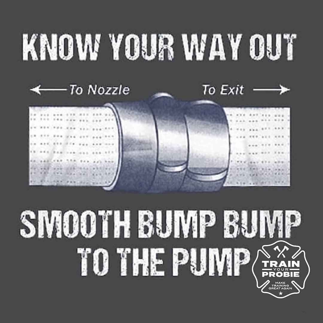 Train Your Probie tweet media