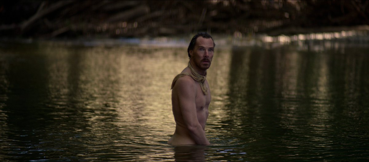 NetflixTudum's tweet image. just Benedict Cumberbatch in nature