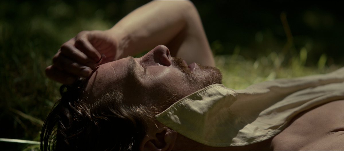 NetflixTudum's tweet image. just Benedict Cumberbatch in nature