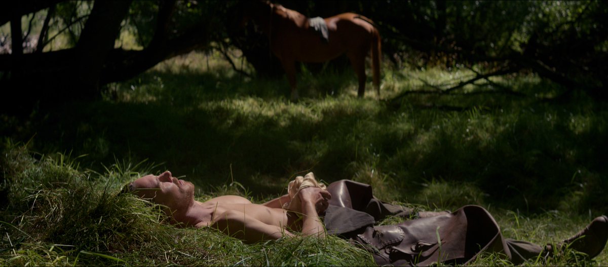 NetflixTudum's tweet image. just Benedict Cumberbatch in nature