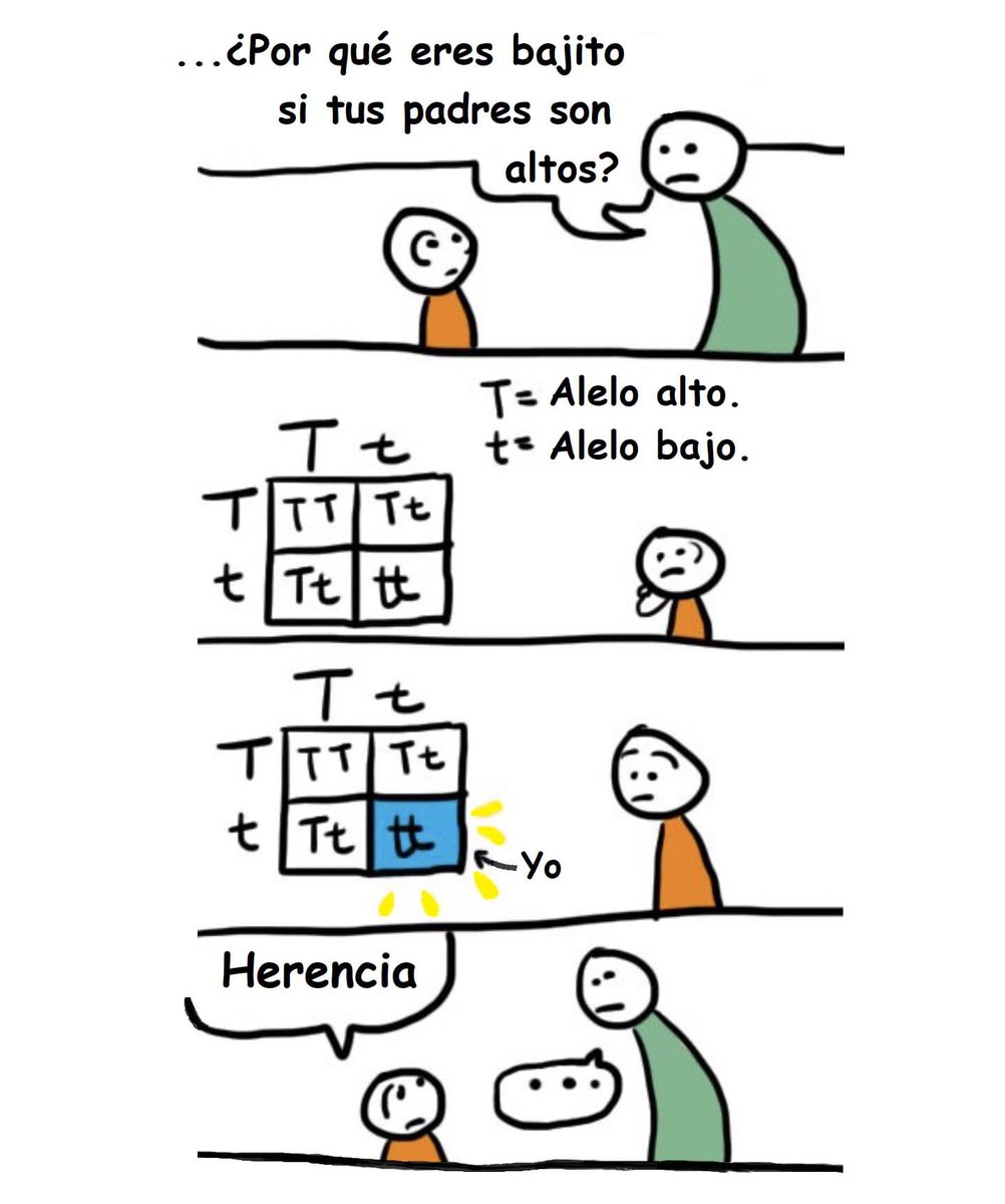 Genética 🧬