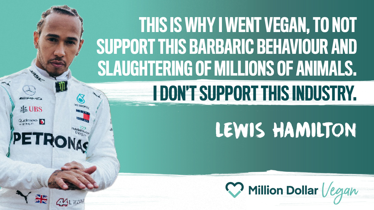 Wij feliciteren #MaxVerstappen van harte met de wereldtitel F1. Stiekem hopen wij dat hij door <a href="/LewisHamilton/">Lewis Hamilton</a> geïnspireerd is geraakt en beseft dat #vegan the way to go is. Als sporter en vooral als mens. #gamechangers