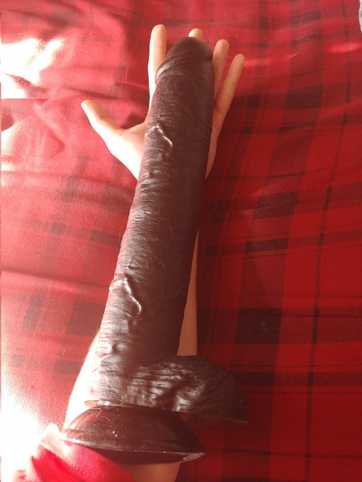 This thing is bigger than I expected. But not nearly as big as the other one I got. The other dildo I