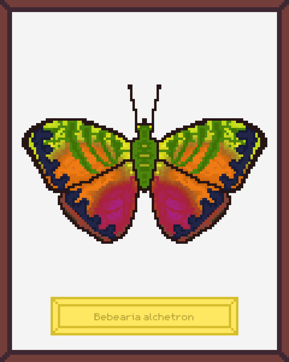 ButterfliesNFTs's tweet photo. The second drop of the #NFT collaboration Butterflies Museum X @bit_colors   alredy on @opensea 🦋🦋🦋

https://t.co/NhtOihWmar

List of items in Discord https://t.co/MjqdVPMNkN

#NFTs #NFTCommunity #nftcollector https://t.co/PK1nVQu6mX